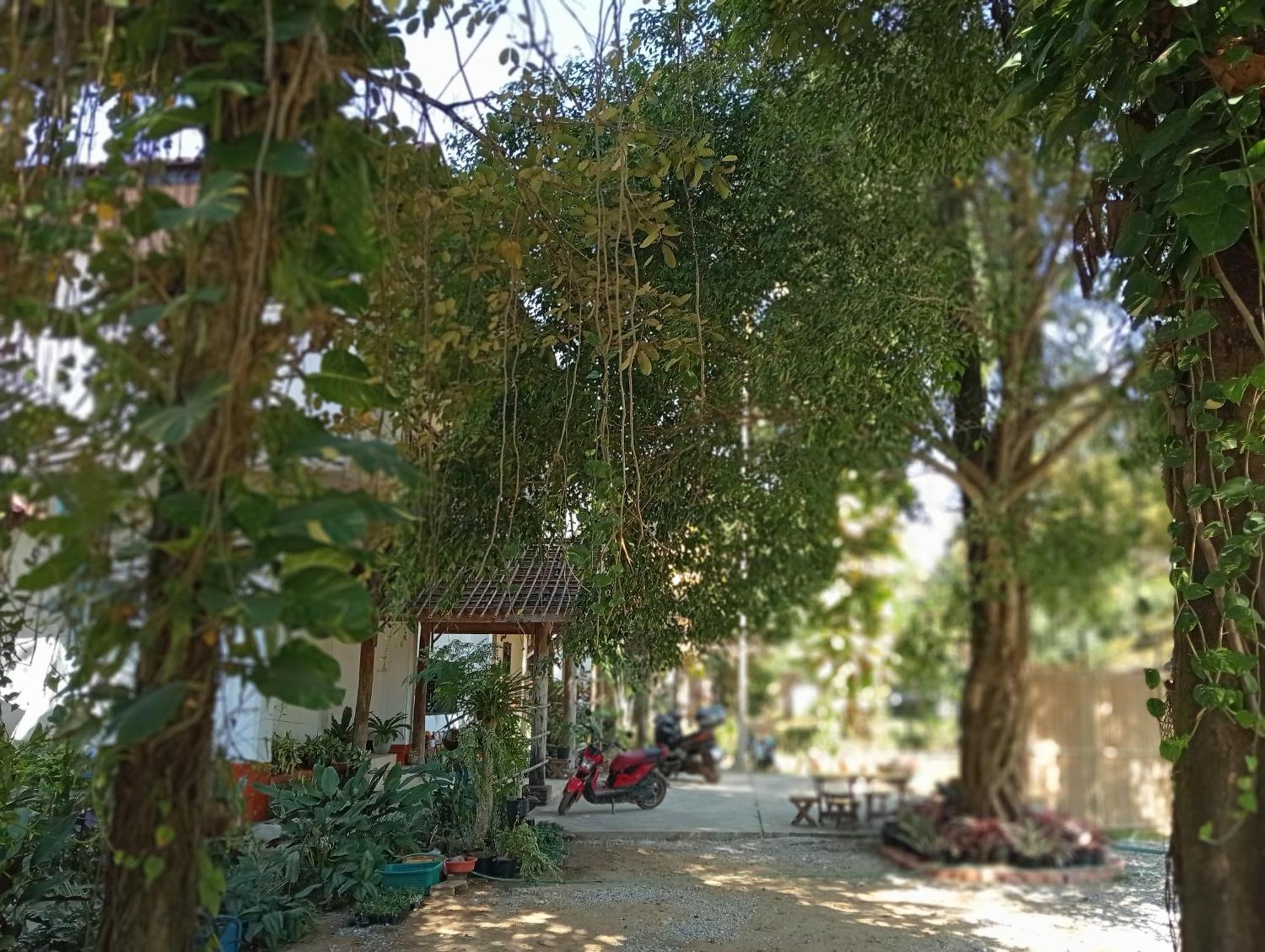 Vangvieng Ruby'Homestay Vang Vieng Eksteriør bilde